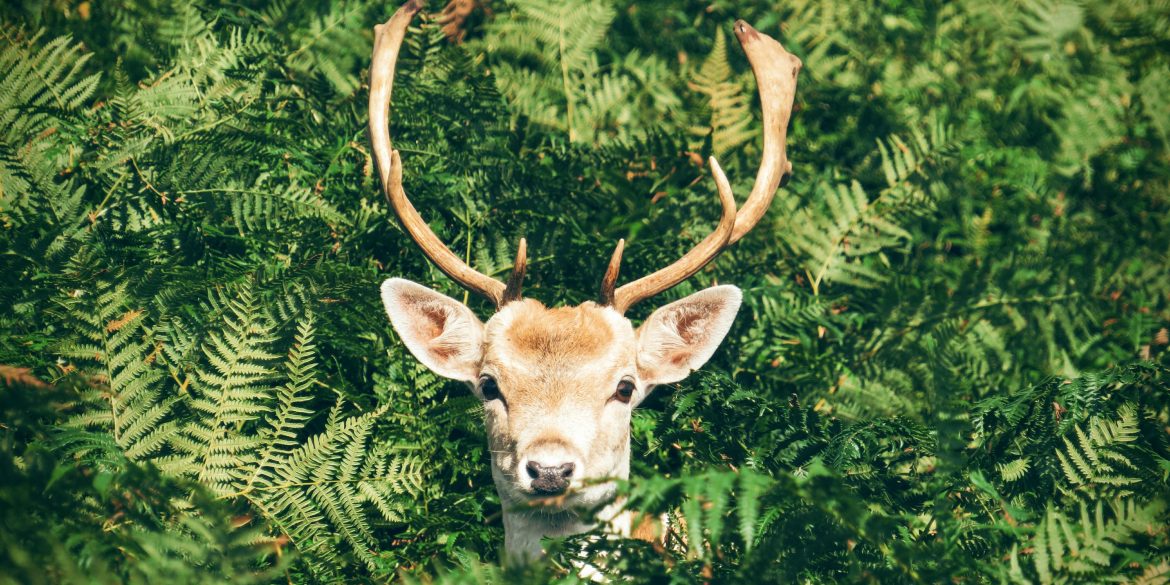 kit survivaliste face au chaos