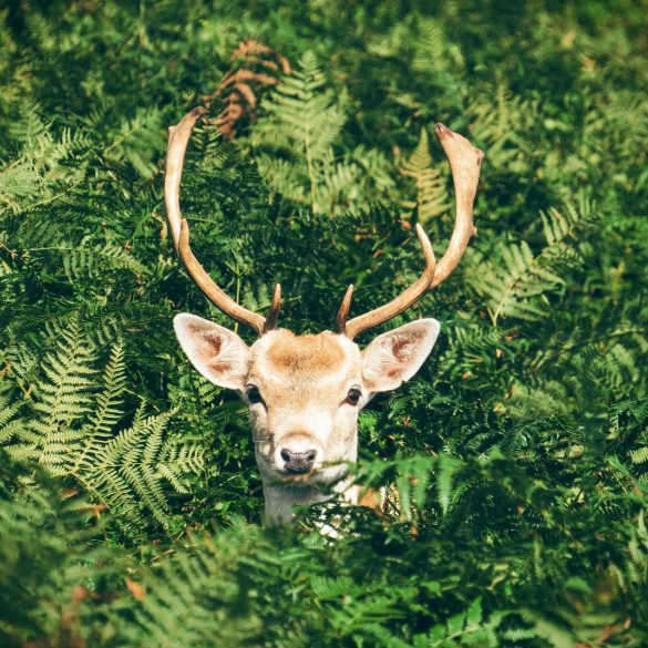 kit survivaliste face au chaos